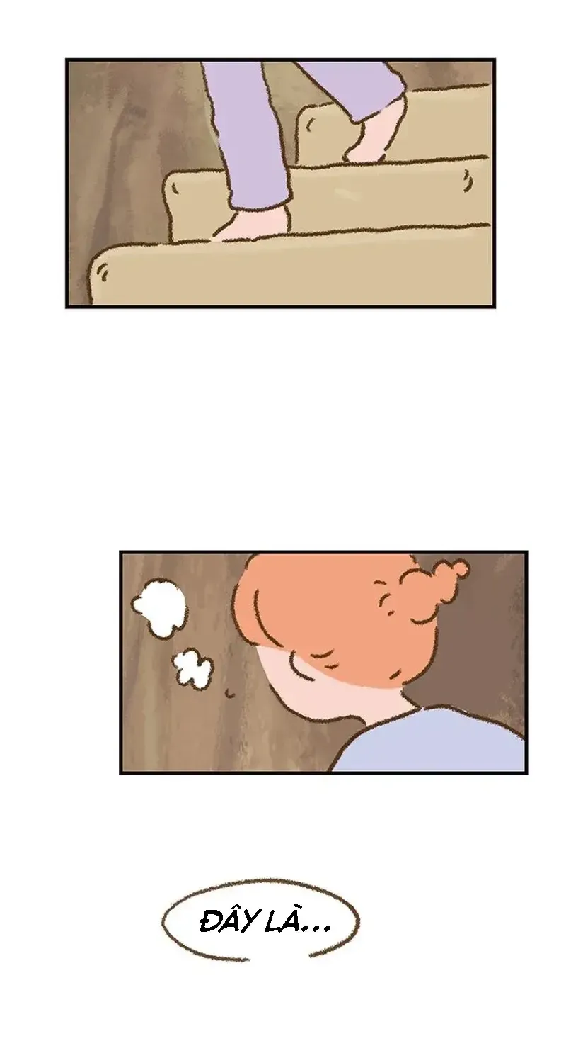 Chapter 2