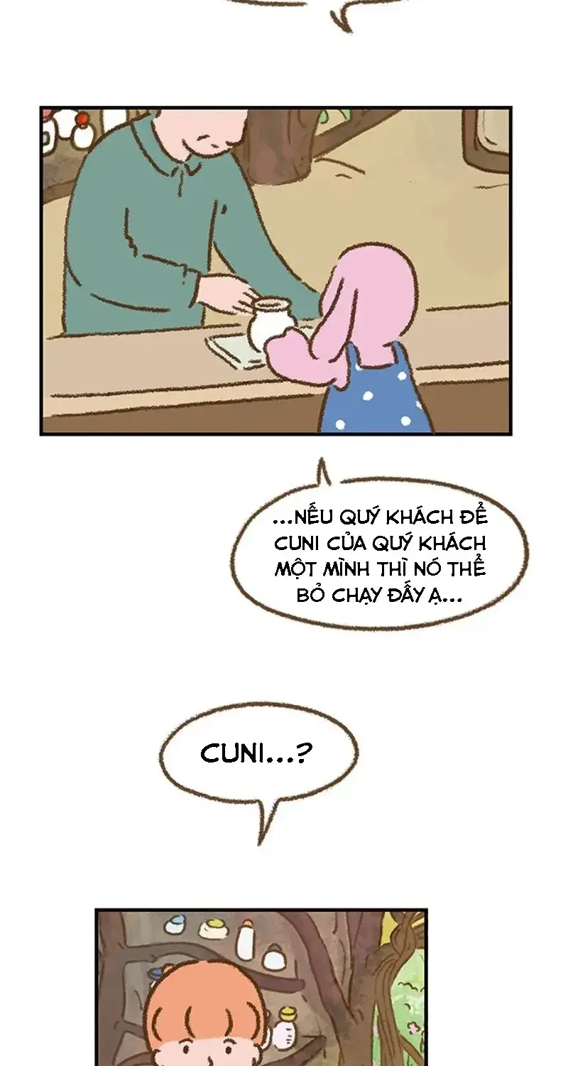 Chapter 2