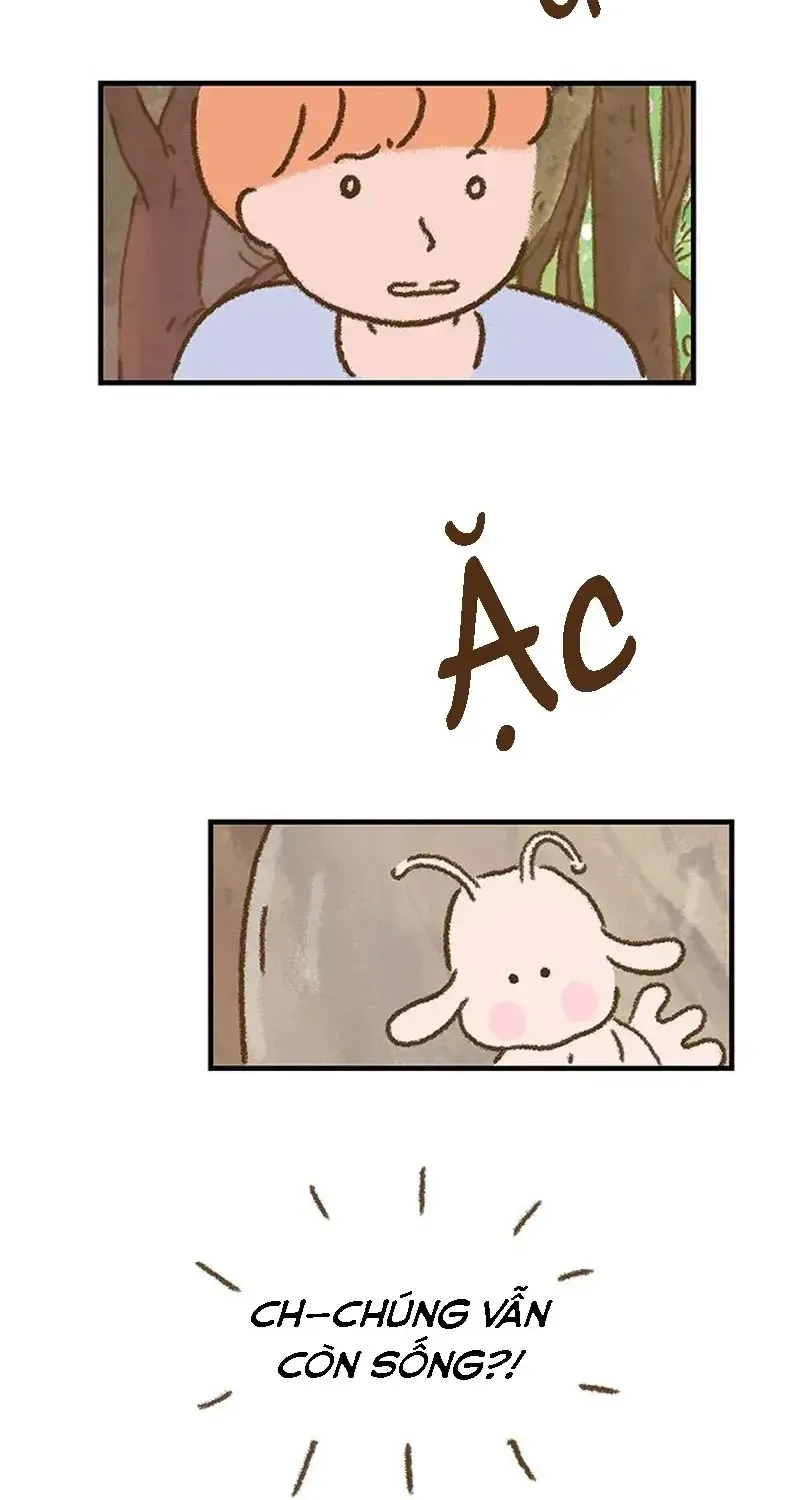 Chapter 2