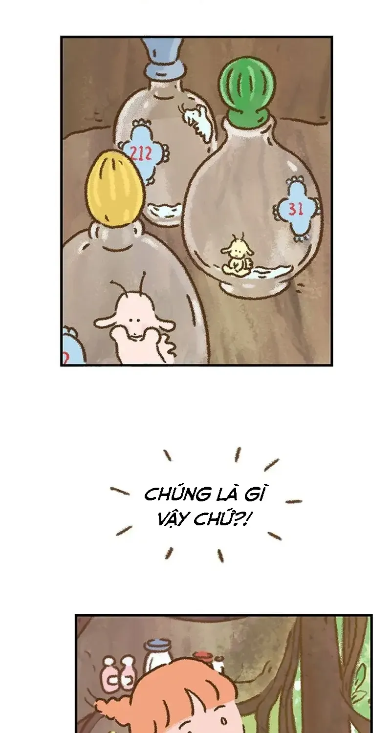 Chapter 2