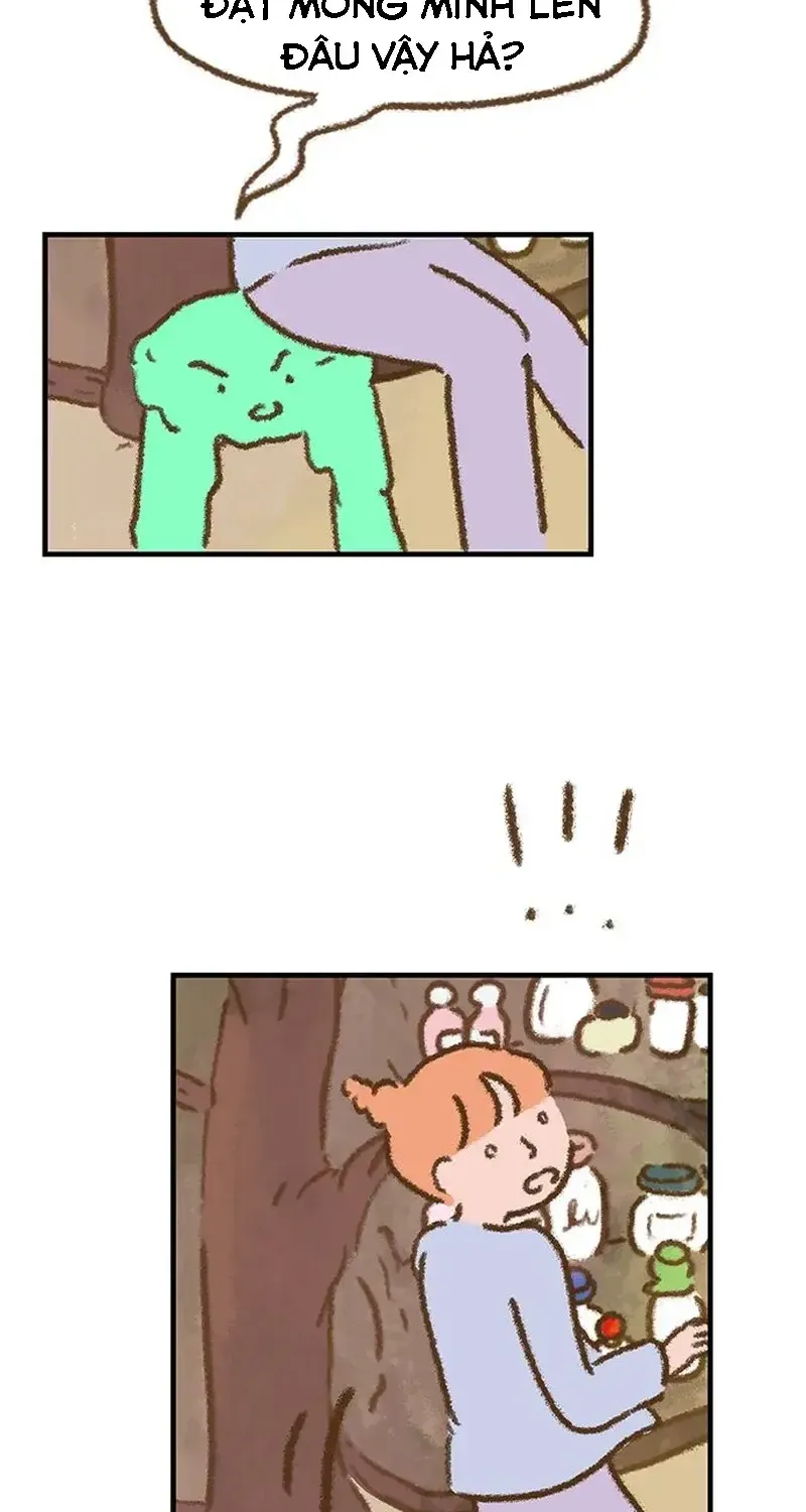 Chapter 2