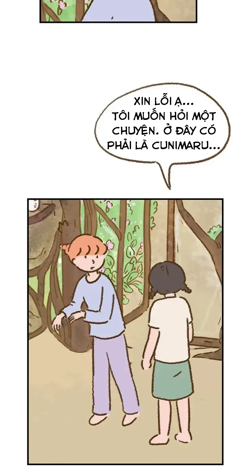 Chapter 2