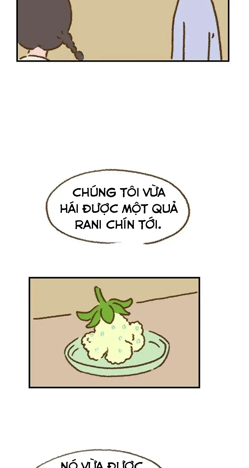 Chapter 2