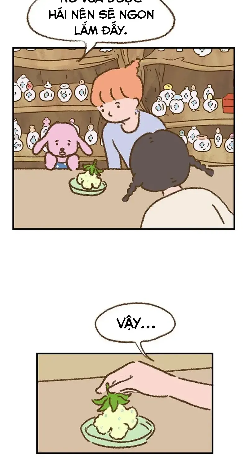 Chapter 2