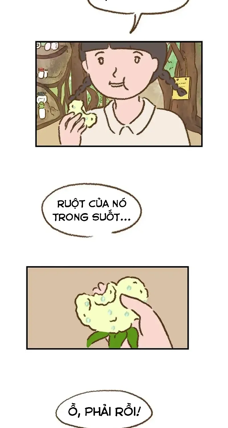 Chapter 2