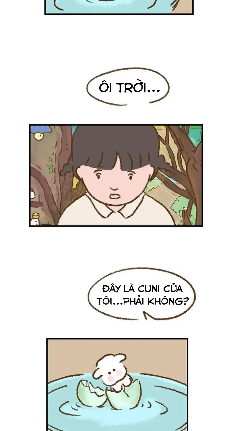 Chapter 2