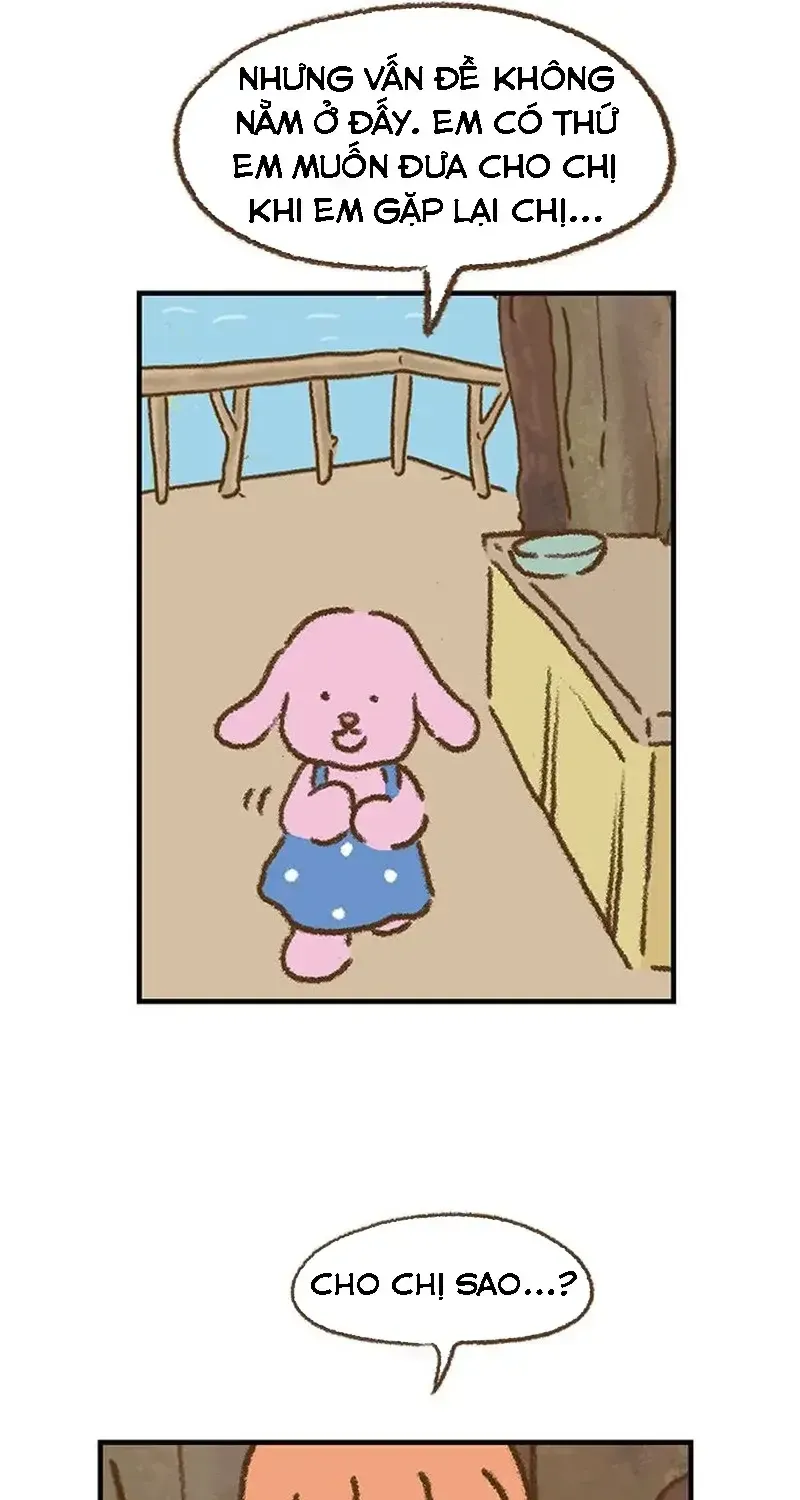 Chapter 2