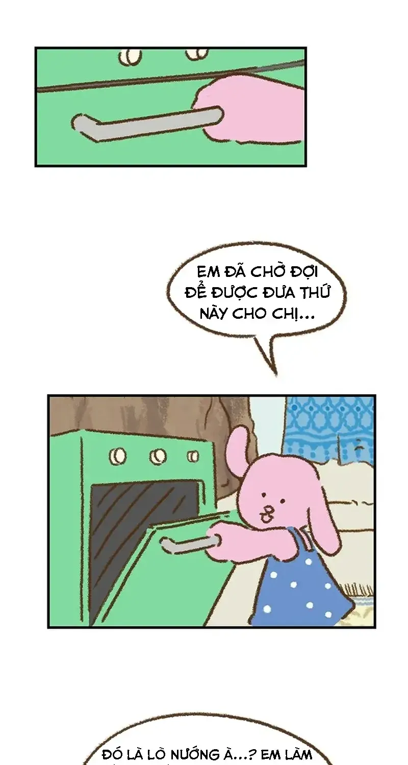 Chapter 2
