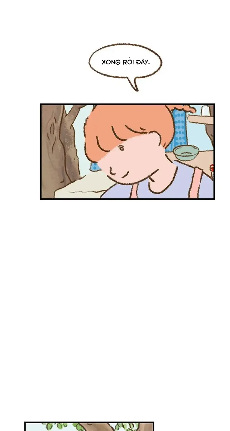 Chapter 3