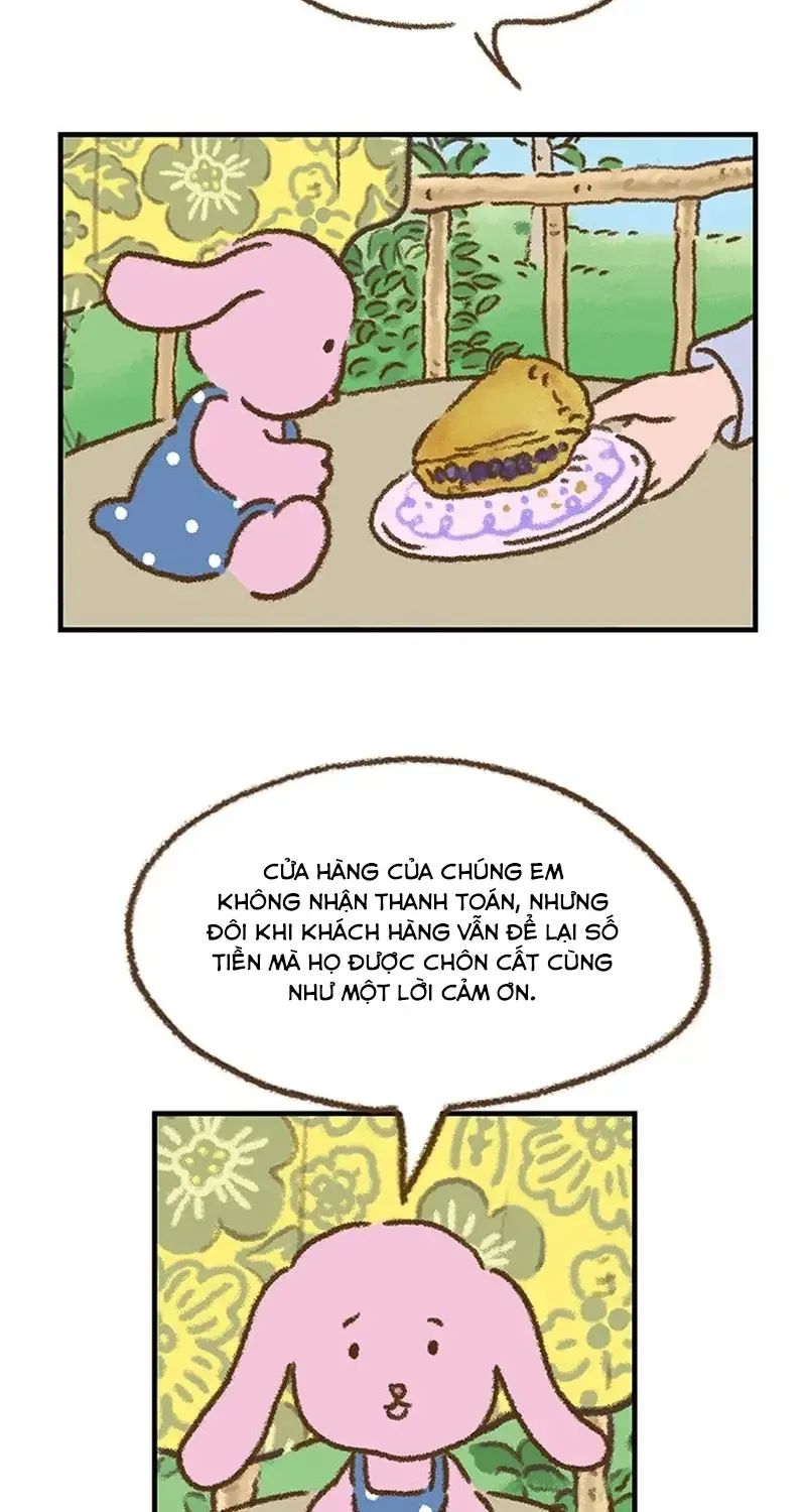 Chapter 3