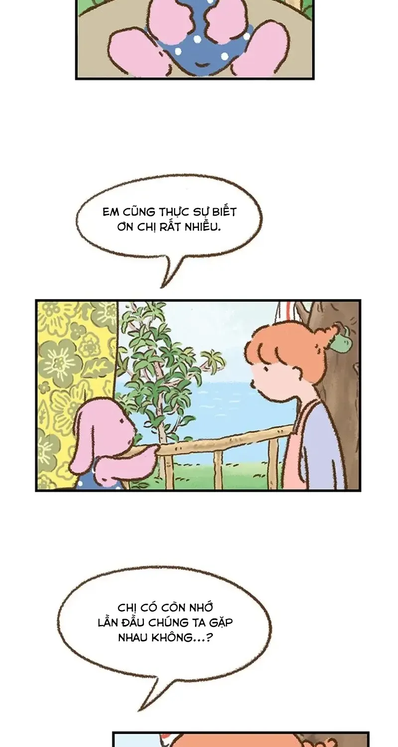 Chapter 3