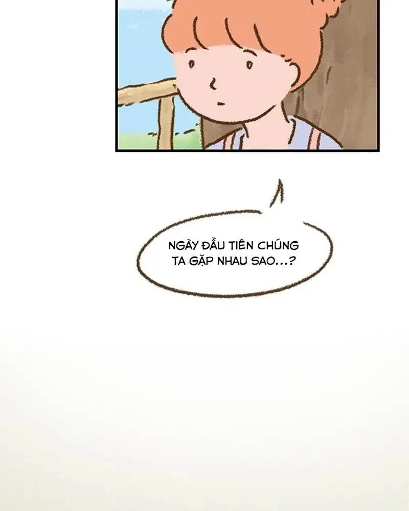 Chapter 3