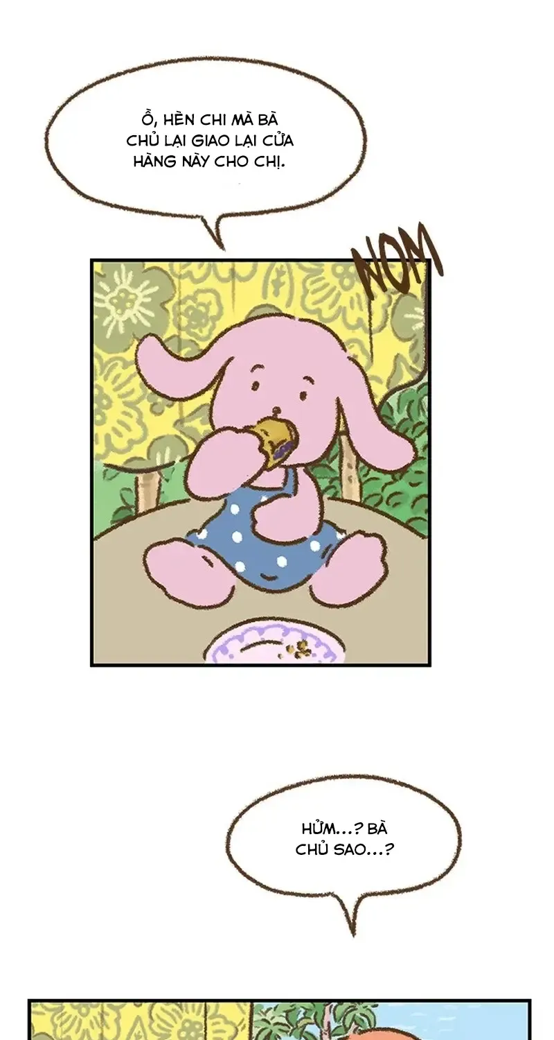 Chapter 3