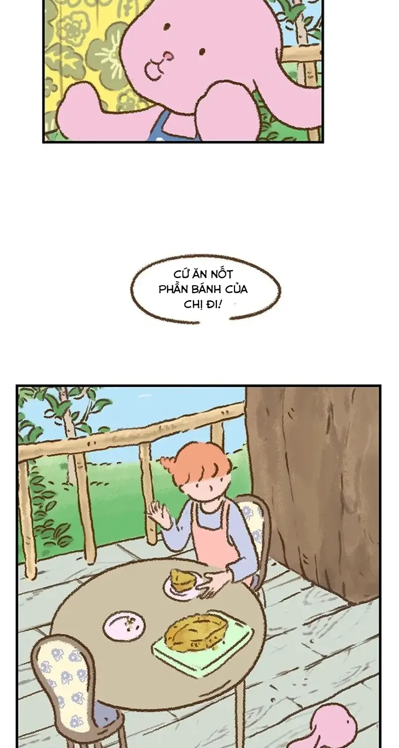 Chapter 3