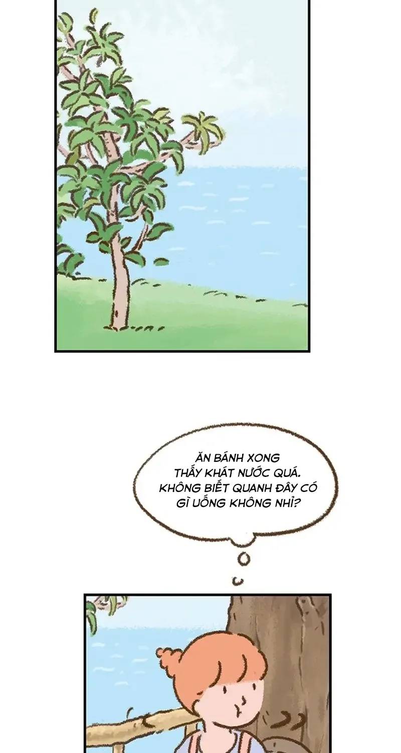 Chapter 3