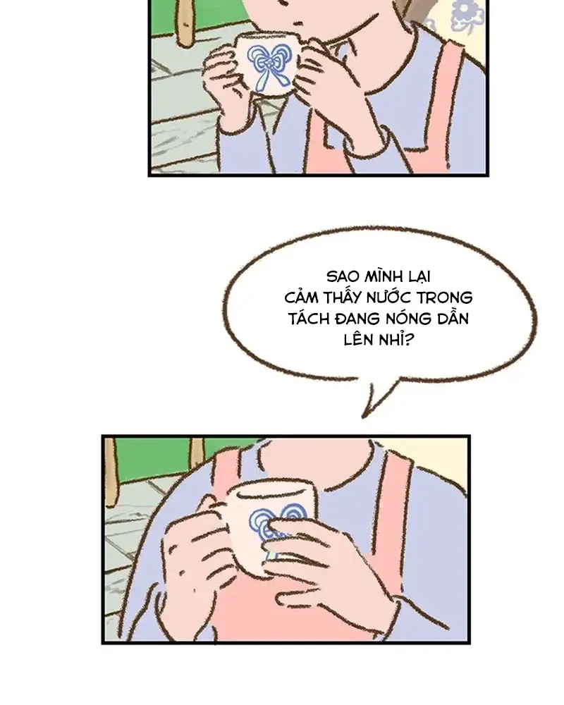 Chapter 3