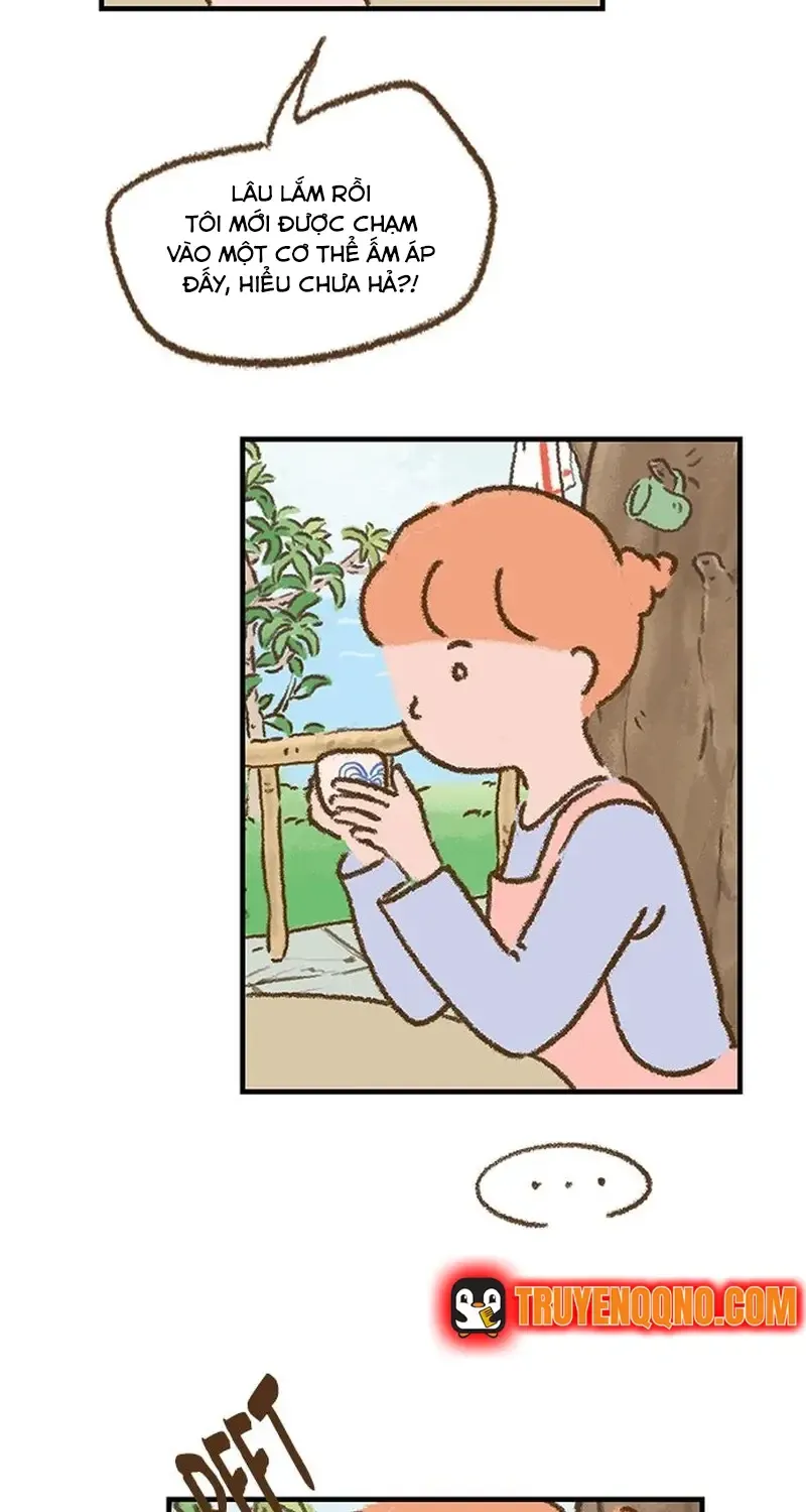 Chapter 3
