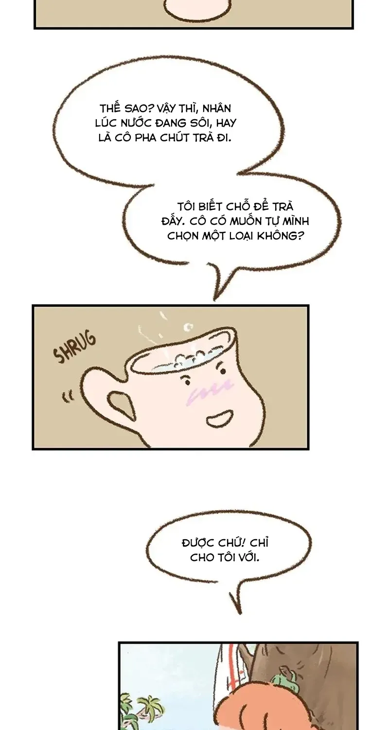 Chapter 3