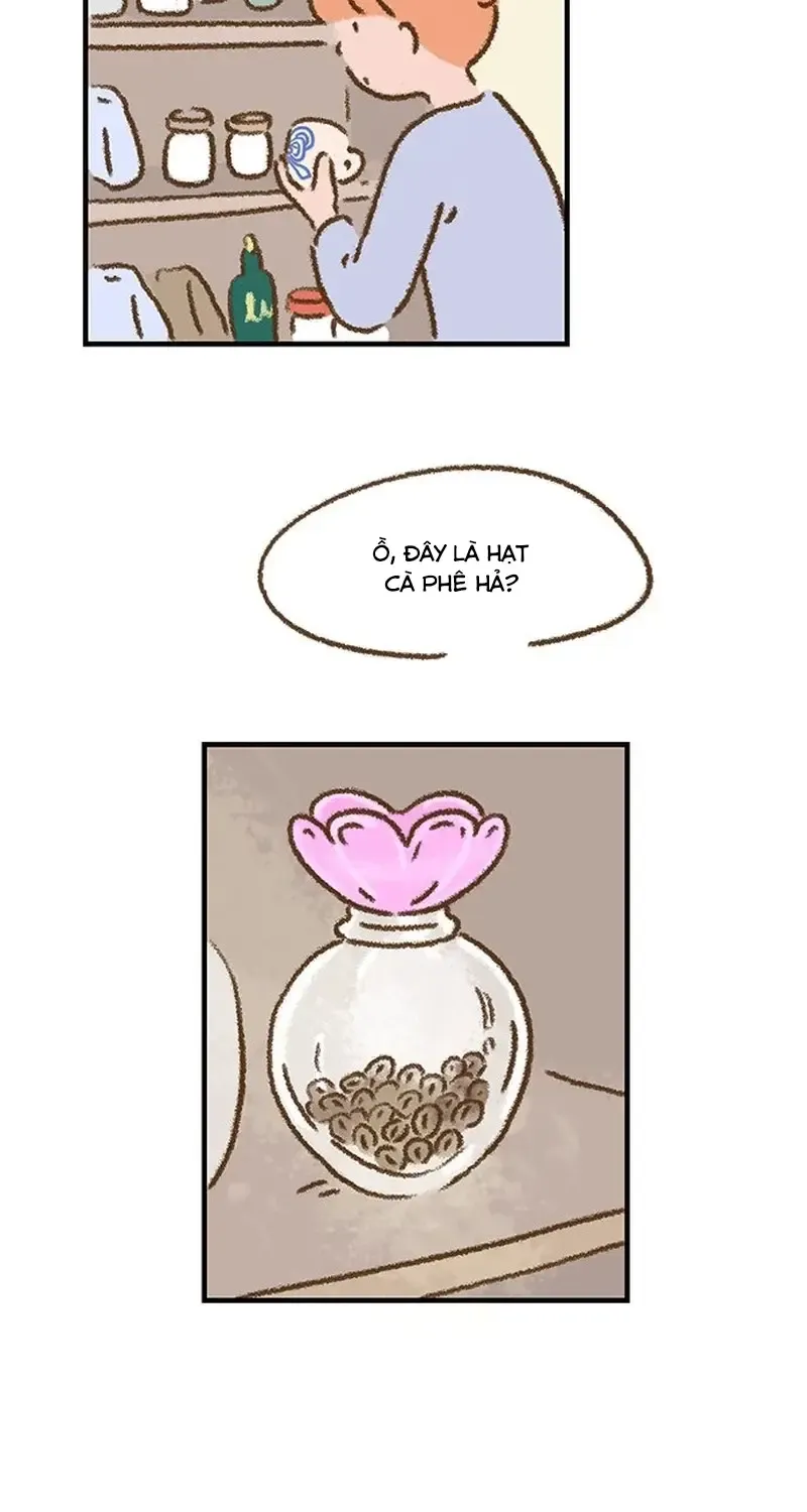 Chapter 3
