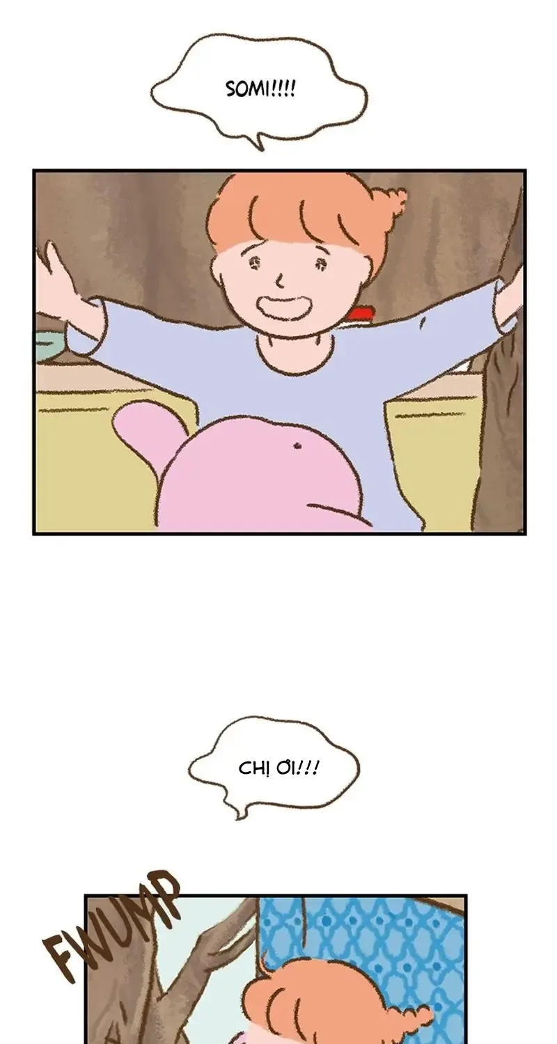 Chapter 3