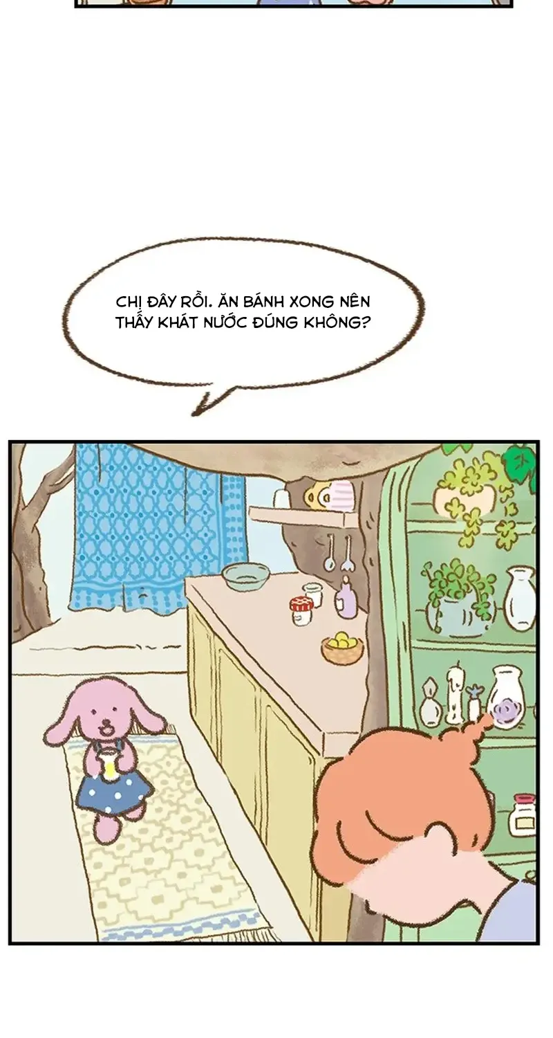 Chapter 3