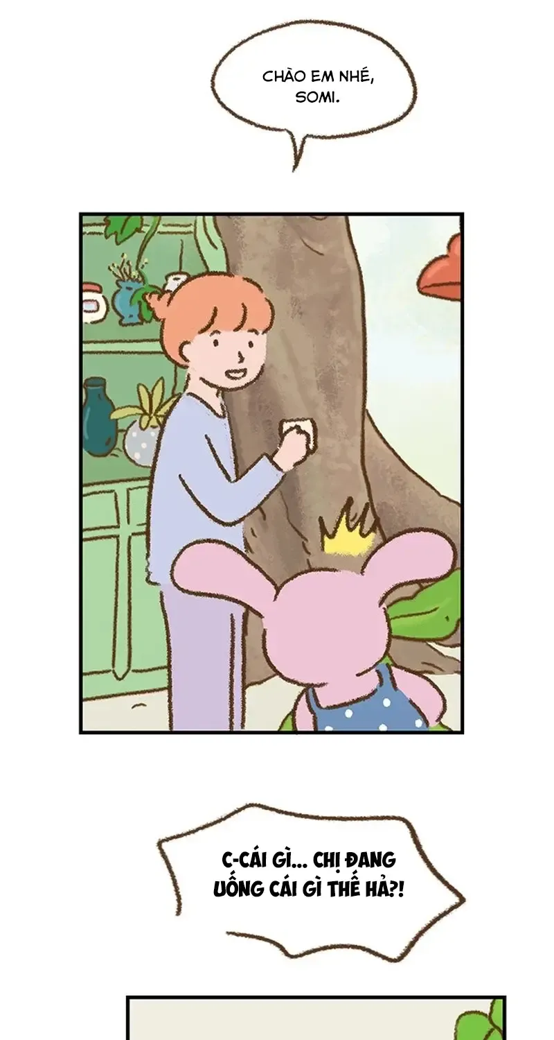 Chapter 3