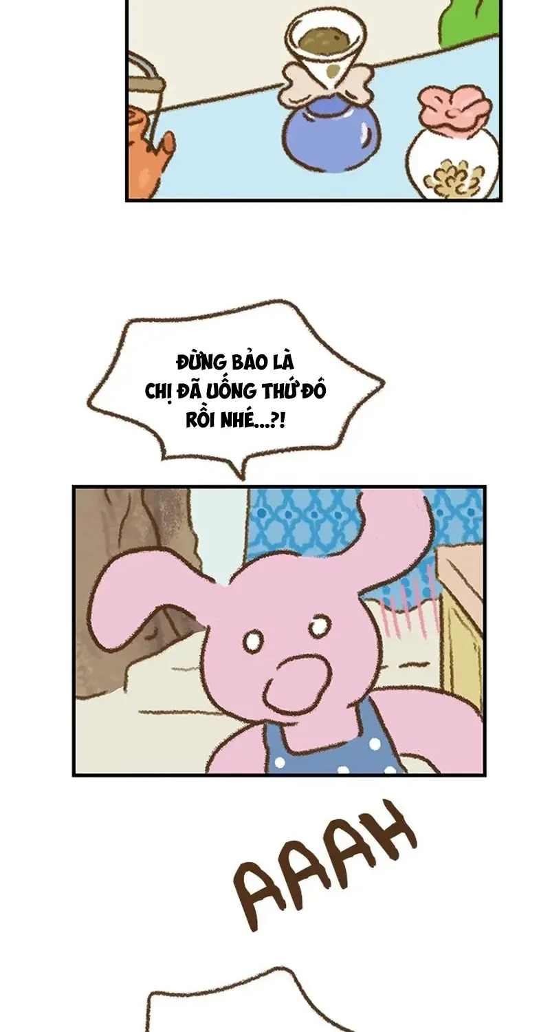 Chapter 3