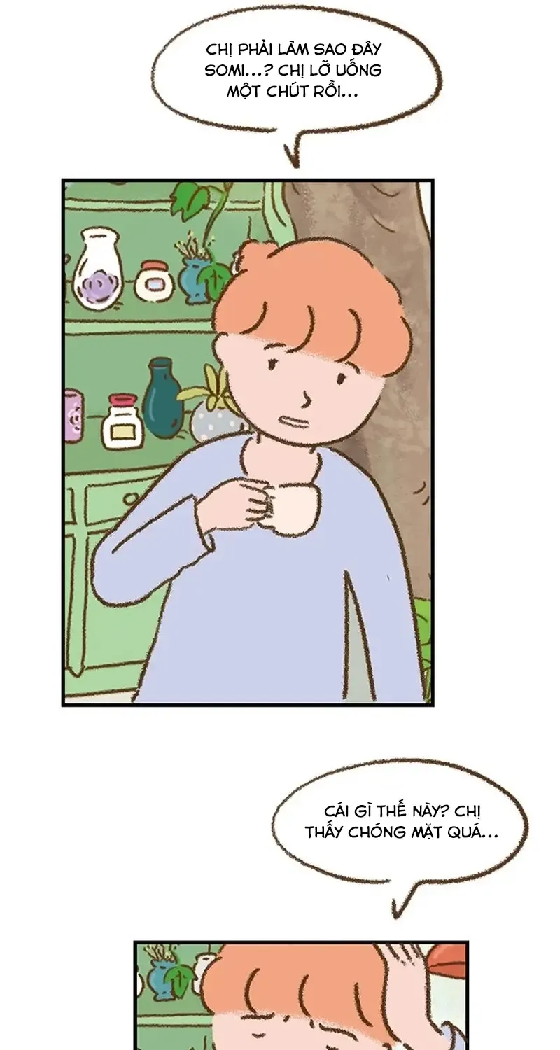 Chapter 3