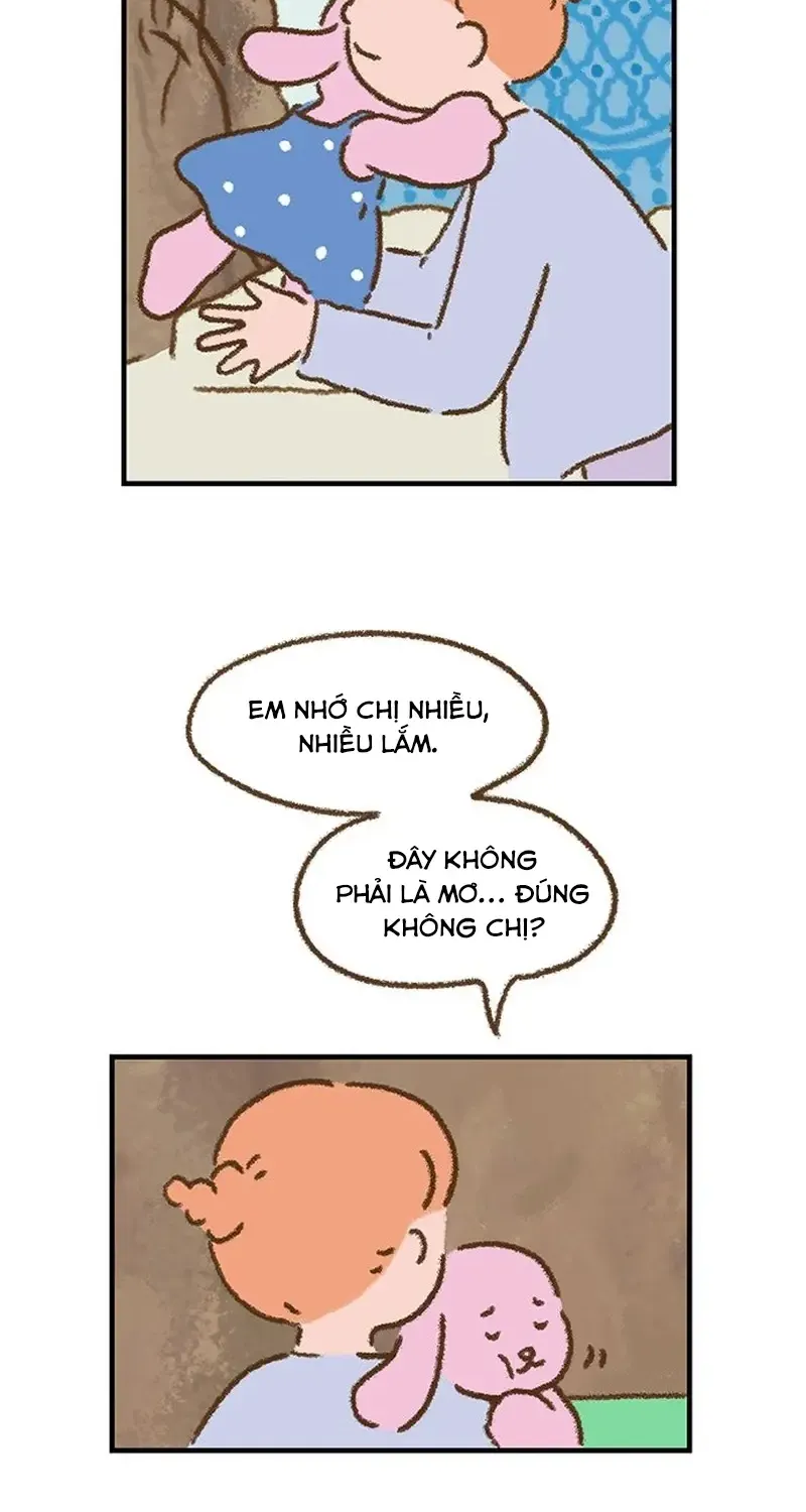 Chapter 3