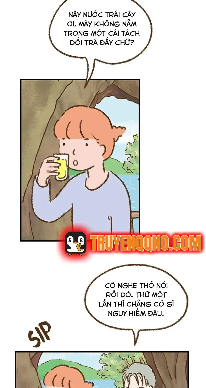 Chapter 4