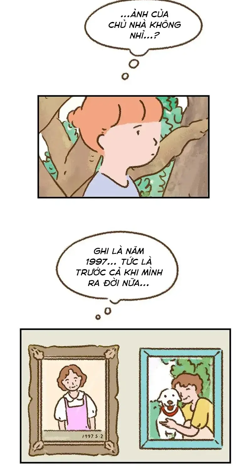 Chapter 4