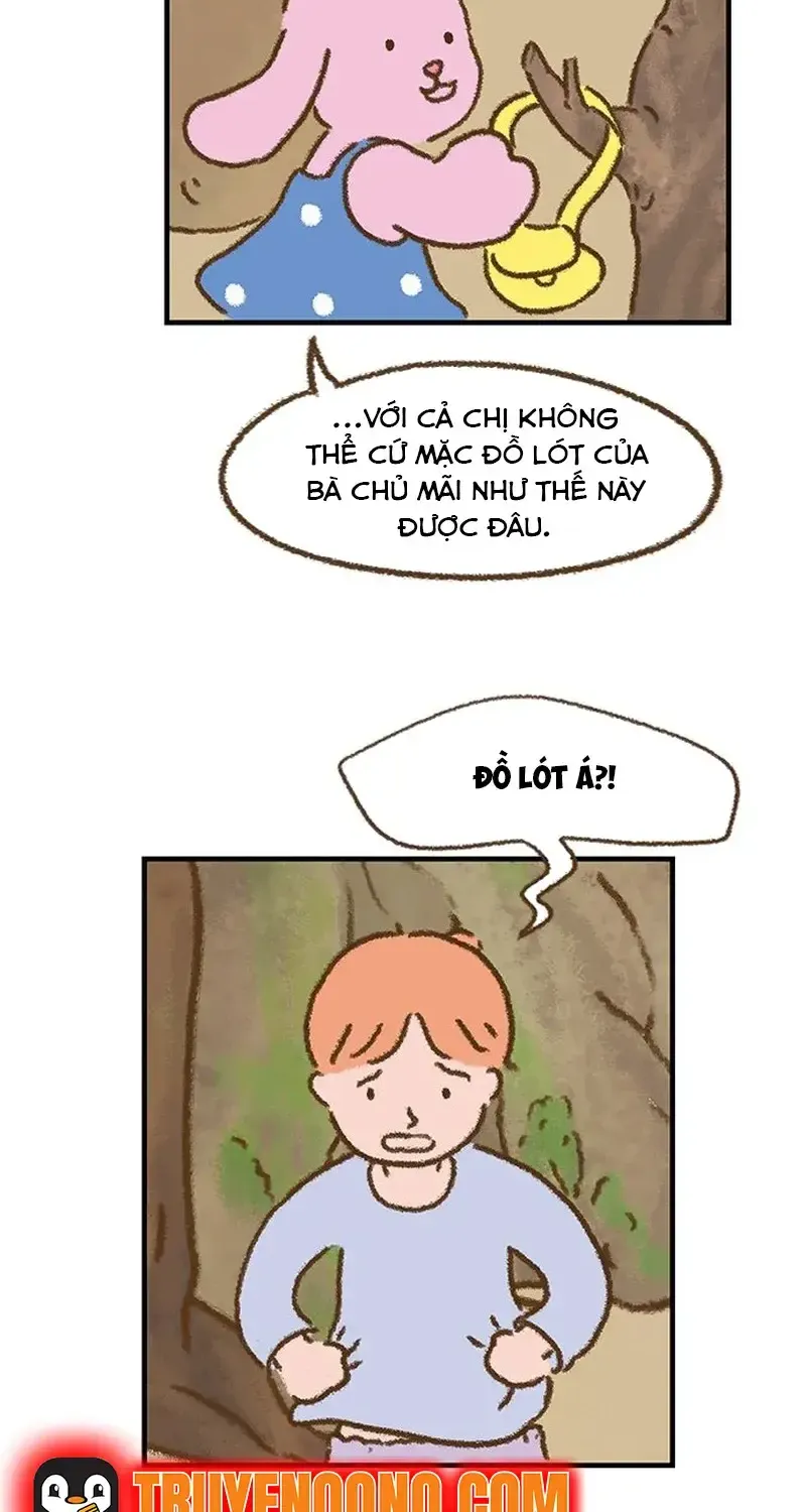 Chapter 4
