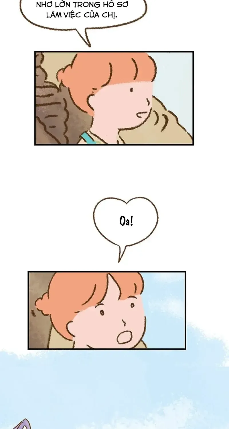 Chapter 4