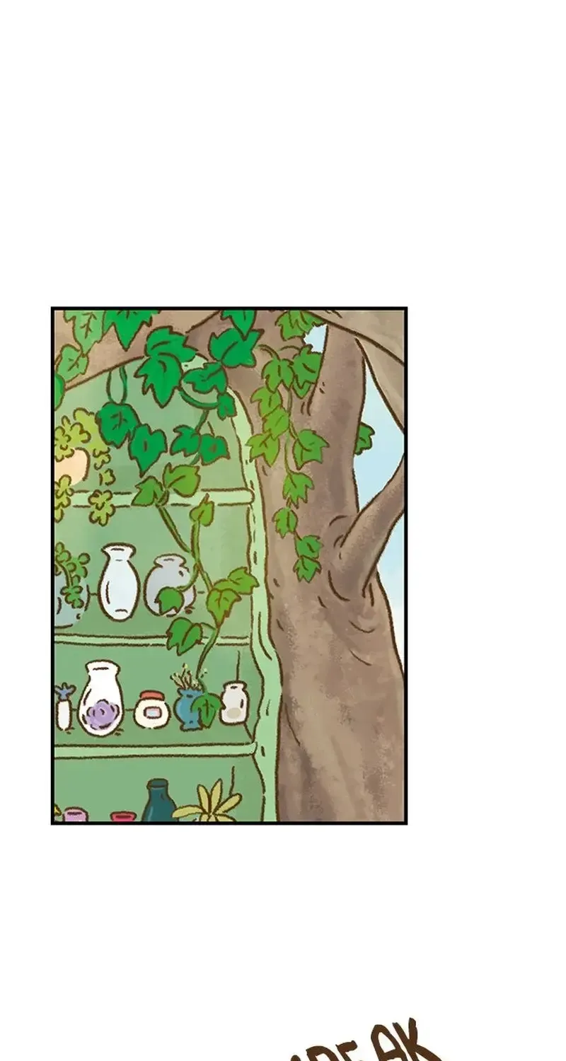 Chapter 4