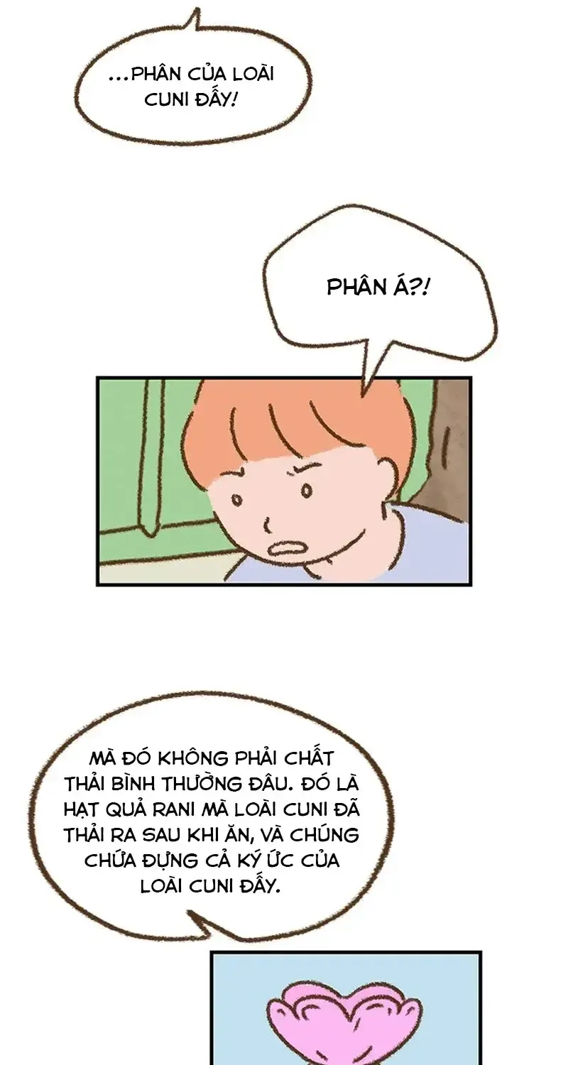 Chapter 4