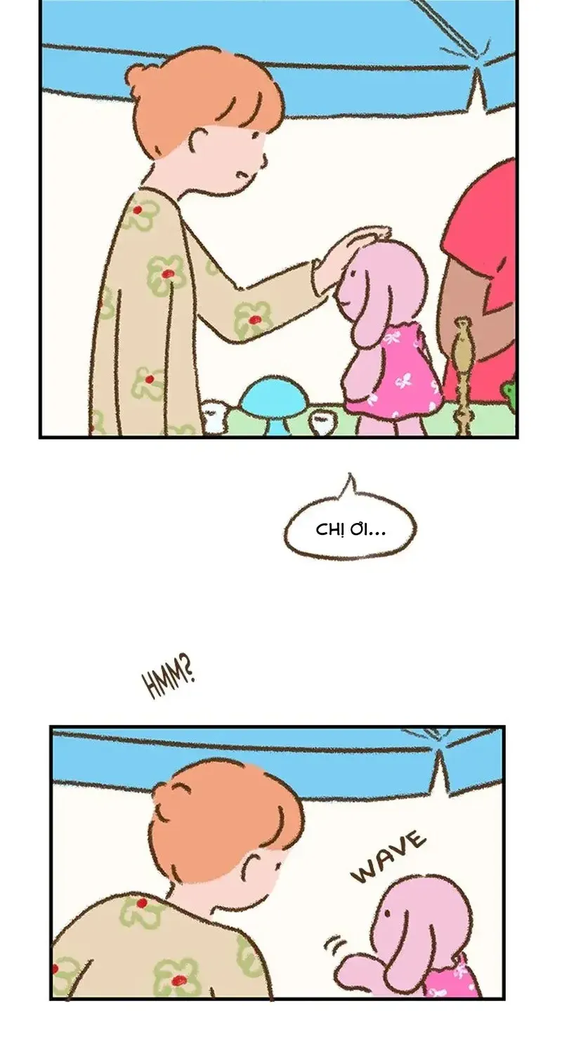 Chapter 5