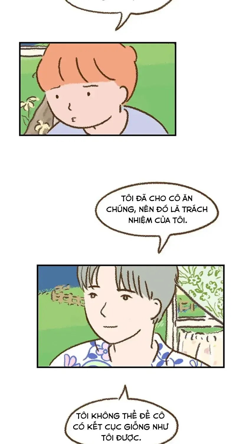Chapter 5