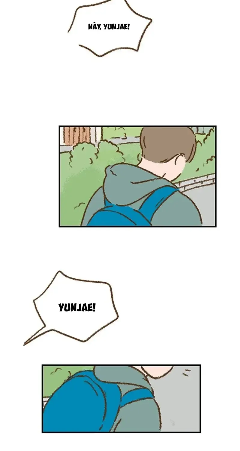 Chapter 5
