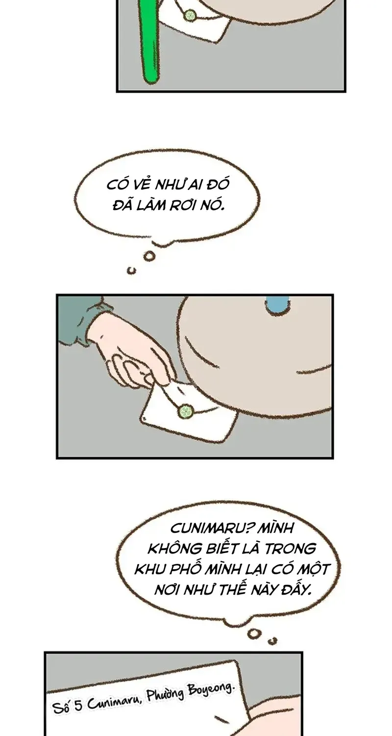 Chapter 5