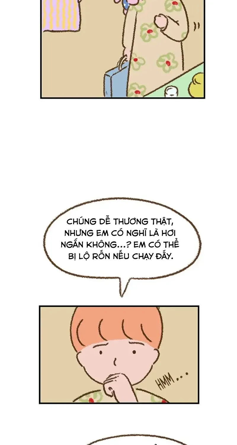 Chapter 5