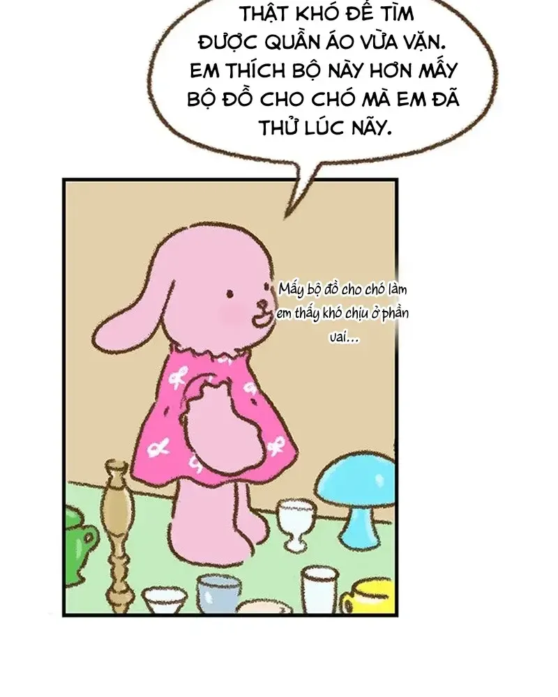 Chapter 5
