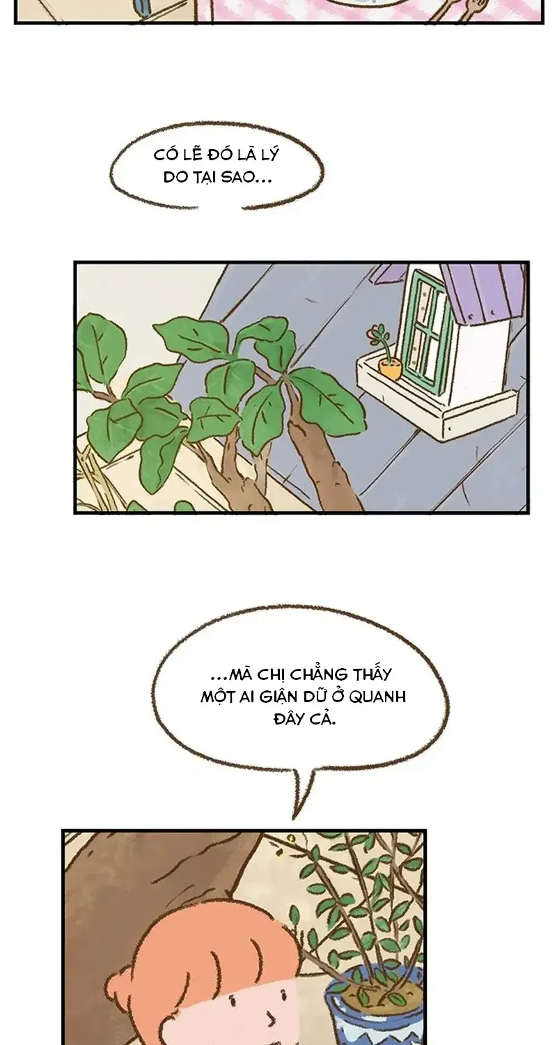Chapter 6
