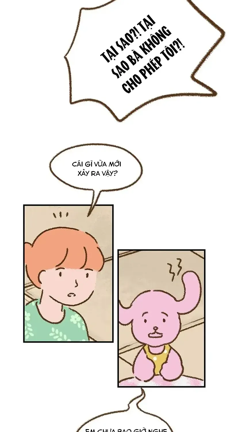 Chapter 6