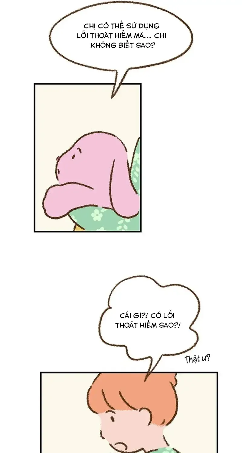 Chapter 6