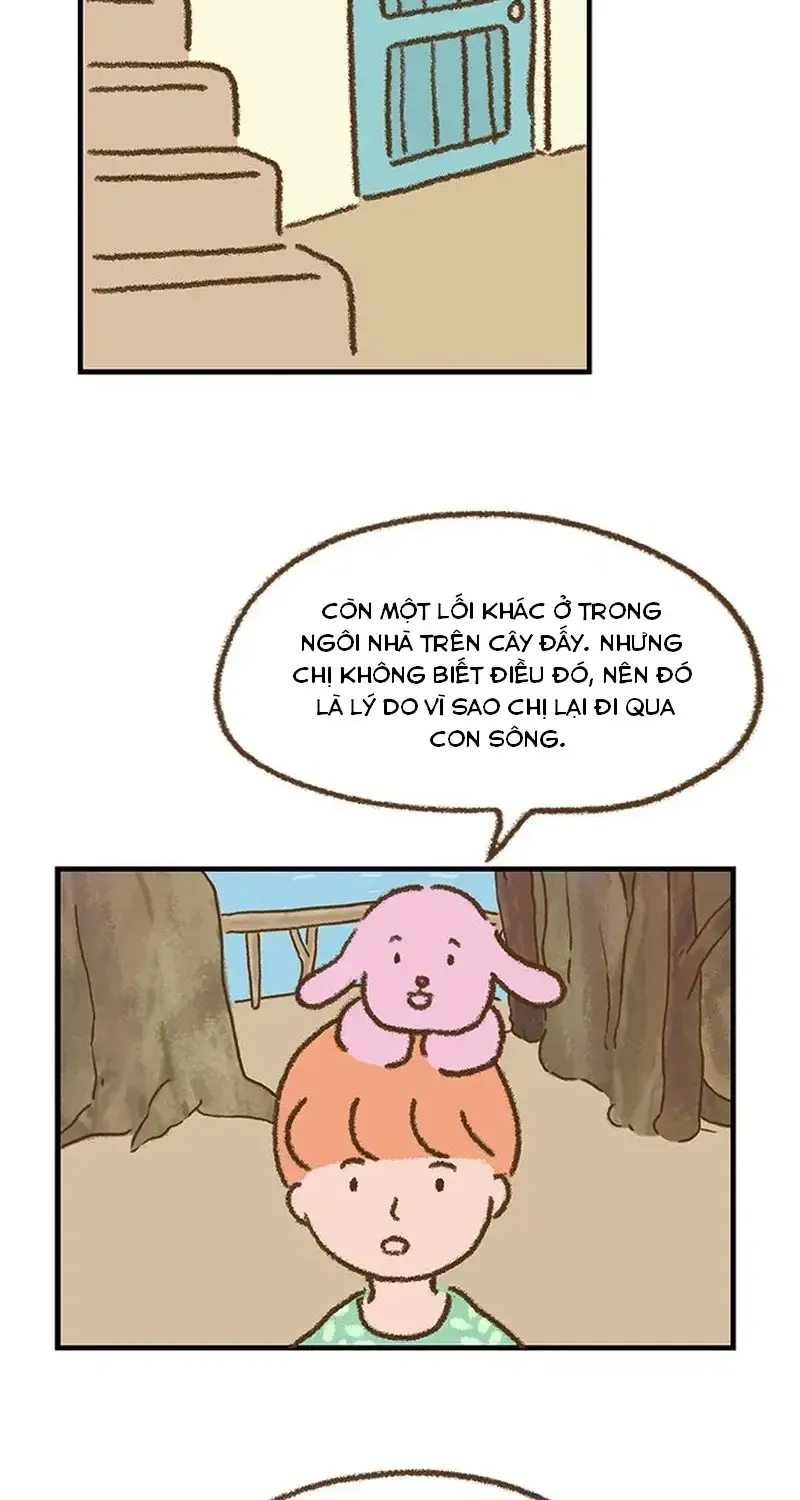 Chapter 6