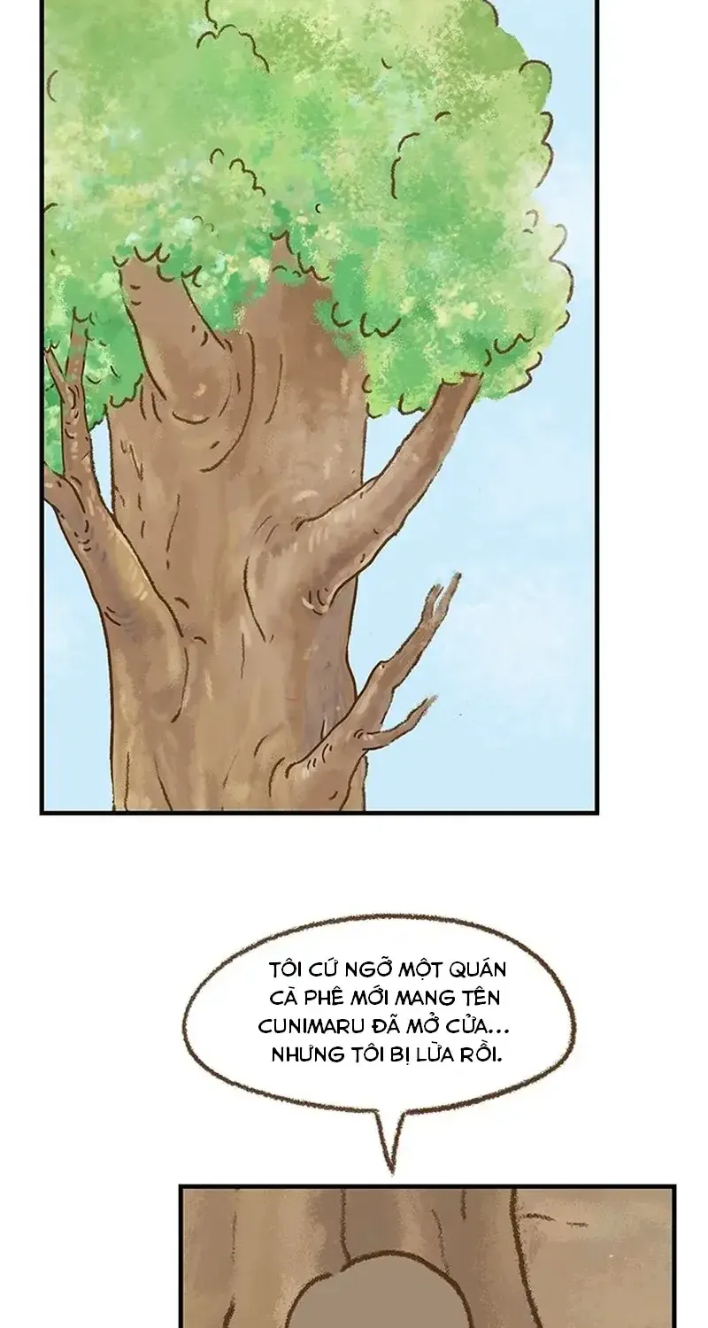 Chapter 6