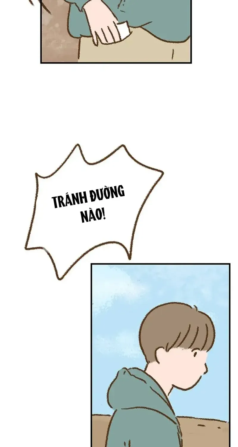 Chapter 6