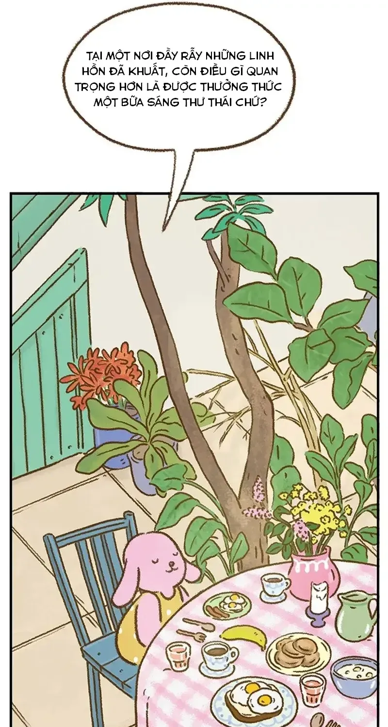Chapter 6