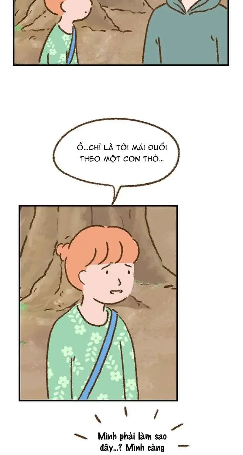 Chapter 7