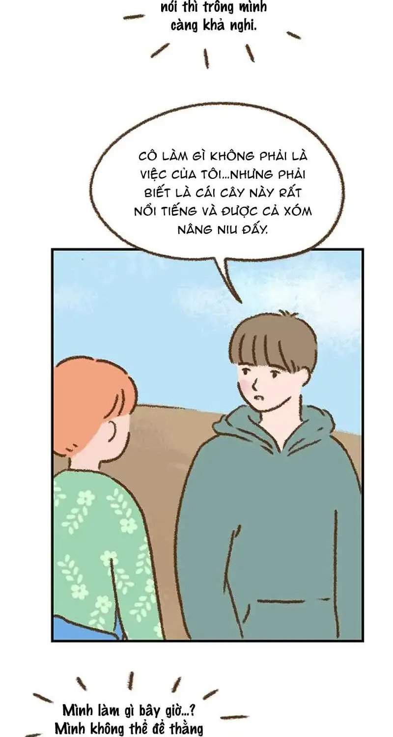 Chapter 7